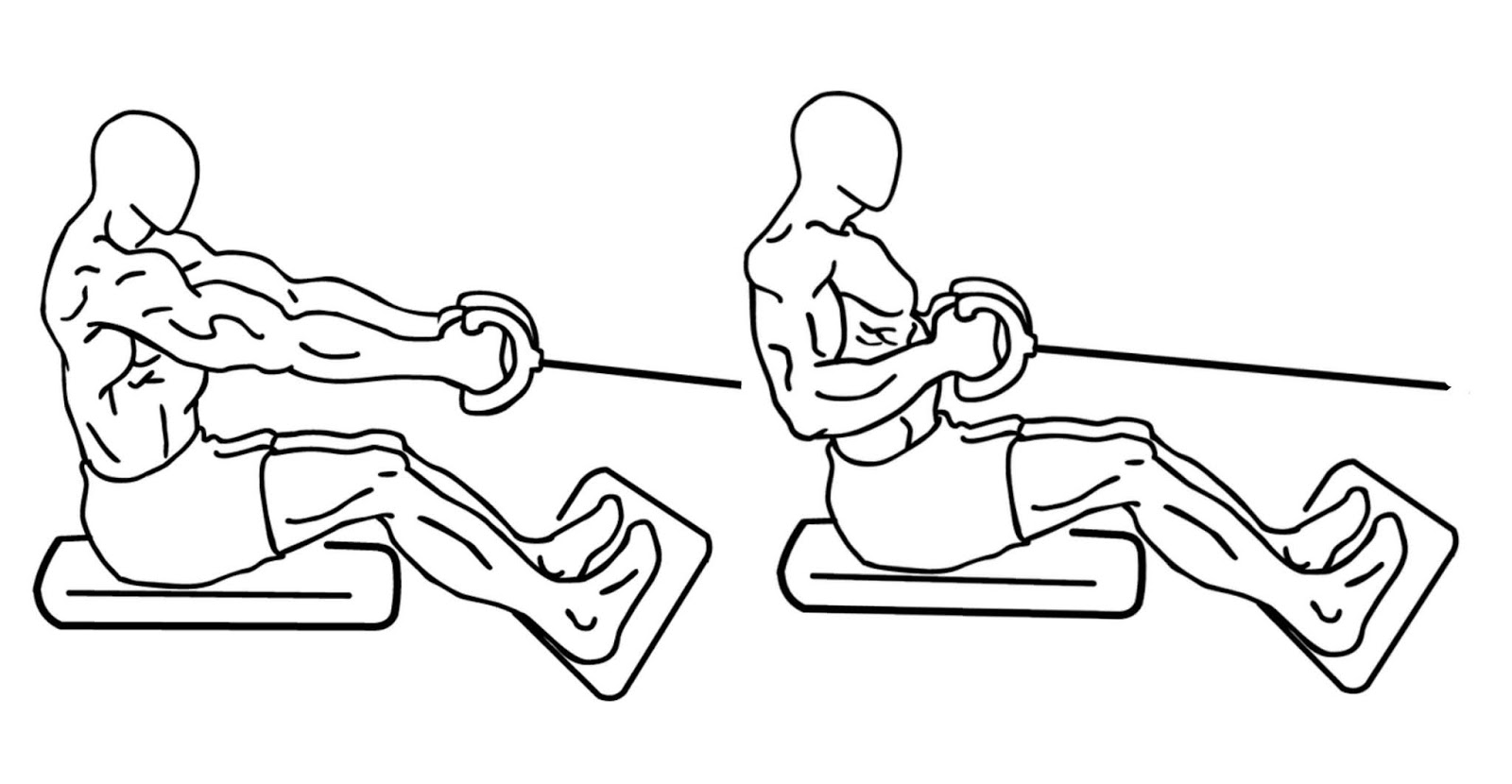 Omg! The Best Back Exercises At The Gym Ever! Back exercises at the