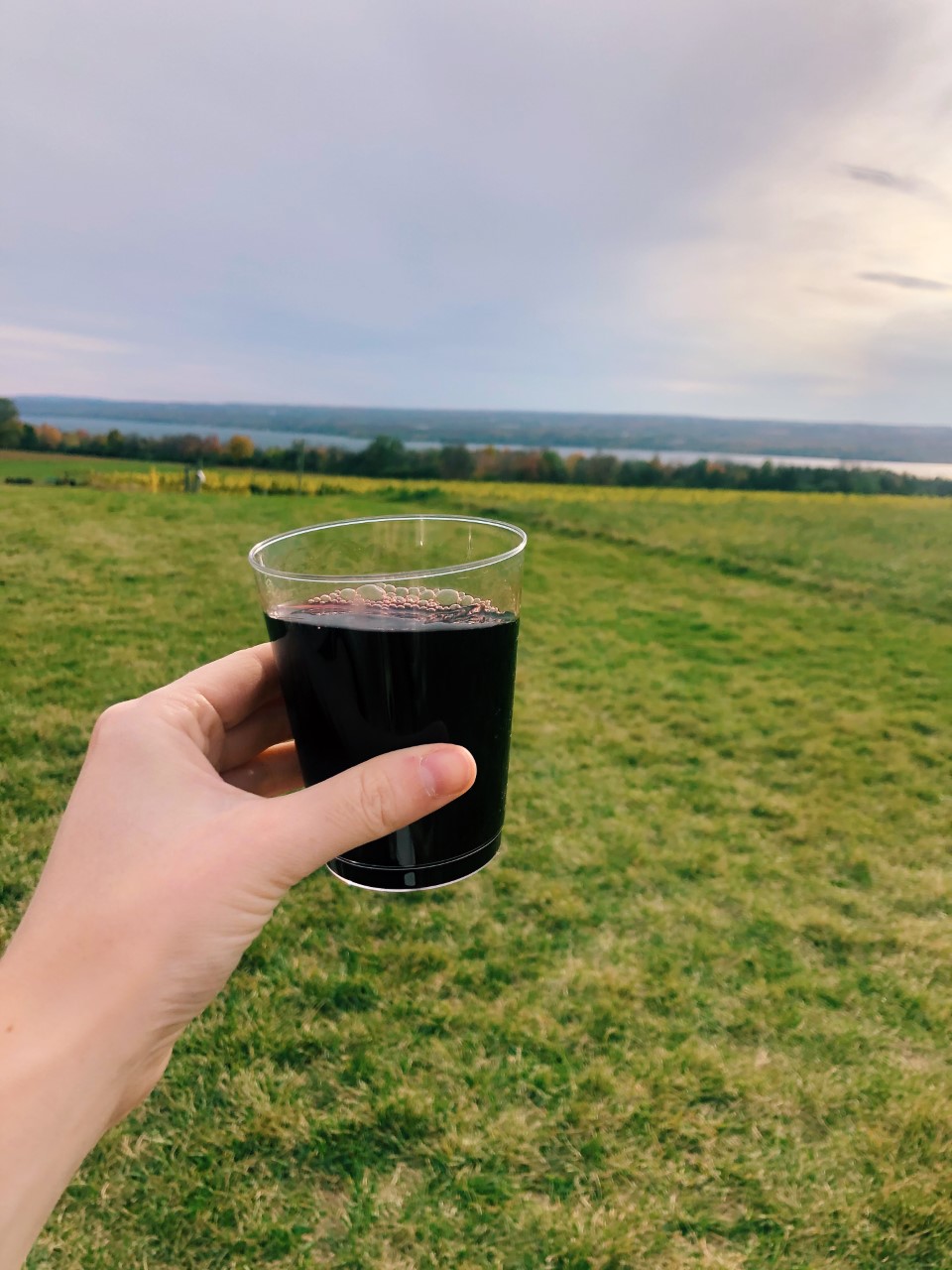 A Long Weekend at the Finger Lakes | Organized Mess