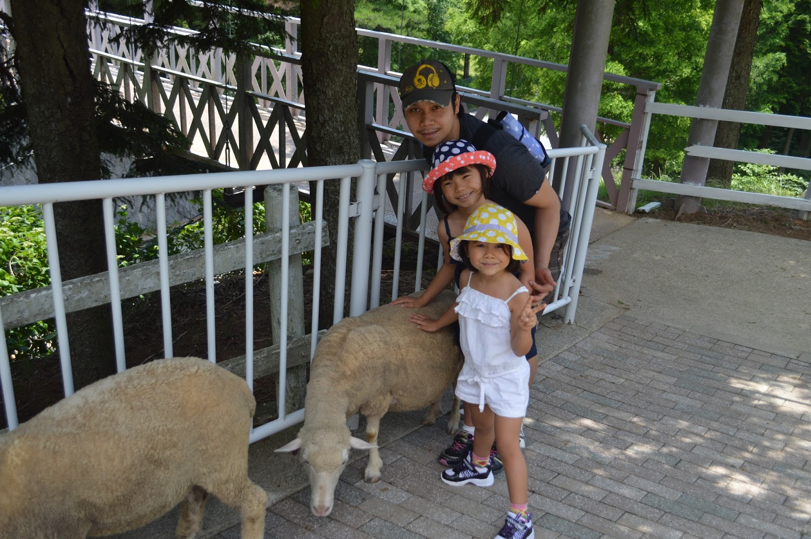 Brigitte's Life Feeding a Baby Cow! 子牛さんにミルクやり！
