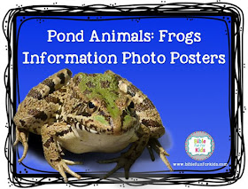http://www.biblefunforkids.com/2018/07/god-makes-pond-animals-frogs.html