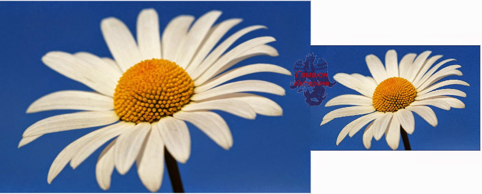 When enough is enough!. Nickelback we stand together. When i together. When i together. Аюми тугеза.