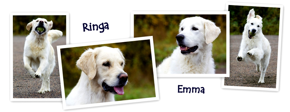 Emma & Ringa