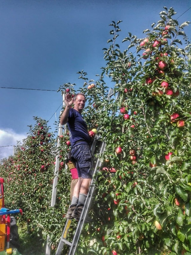 vacanza appartamento val di non orizzonti d'anaunia