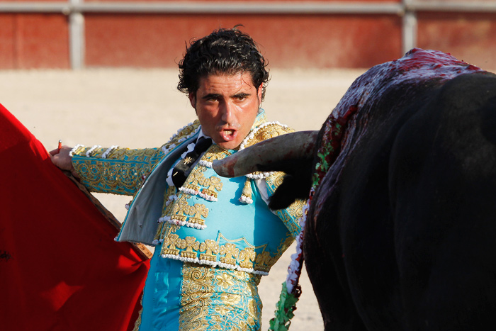 Dennis Castillo - Representante de Toreros: Proximas actuaciones del ...