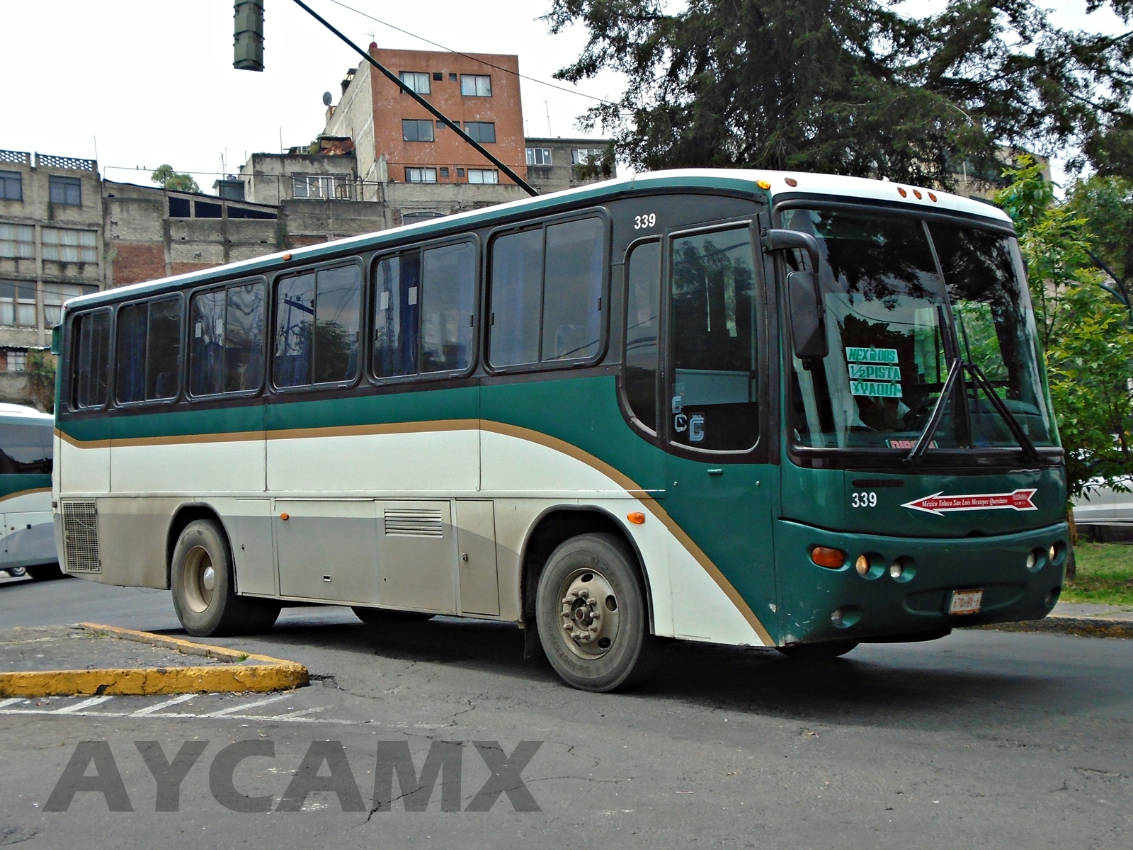 AYCAMX Autobuses y Camiones México Autobuses Foráneos 311. Auto