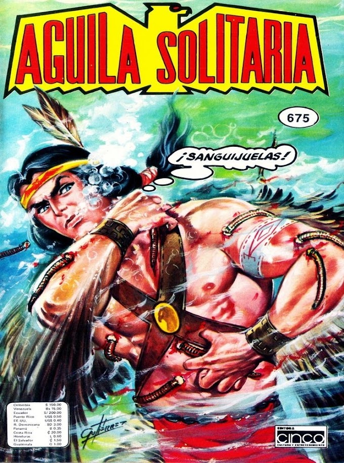Aguila Solitaria-675 La Flecha de Plata -LEITURA ONLINE