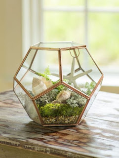 terrarium nasıl yapılır?