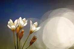 ♥♥♥Que bom que você veio♥♥♥