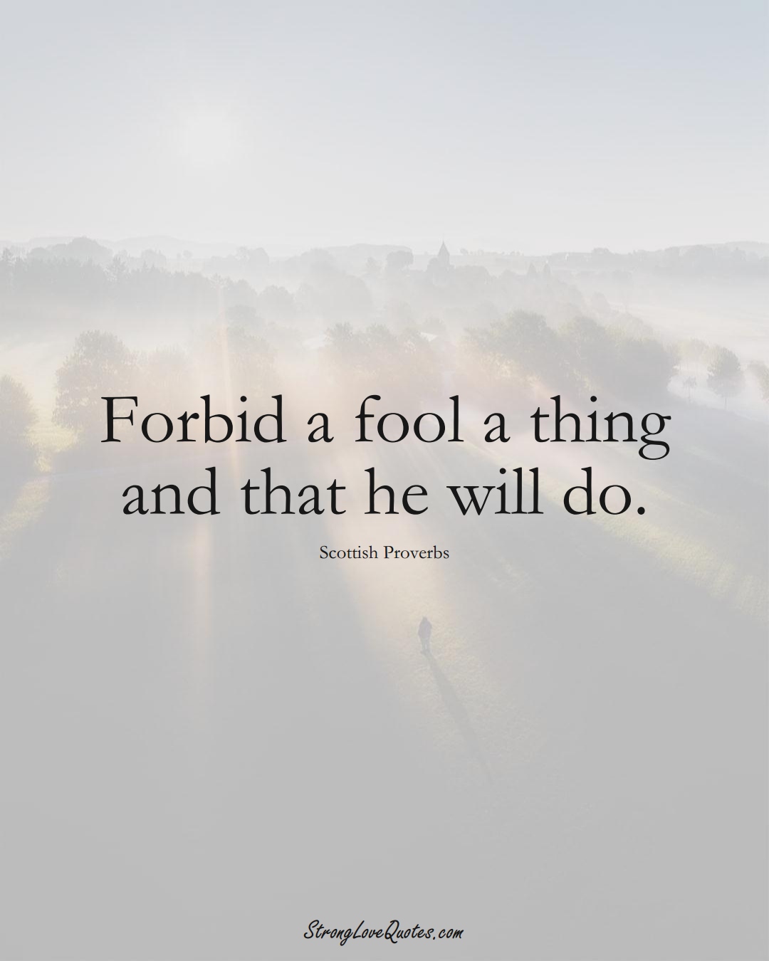 Forbid a fool a thing and that he will do. (Scottish Sayings);  #EuropeanSayings