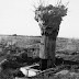 Fake Tree Observation Posts of WW1