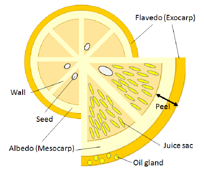 Quimica, Alimentación y Medio ambiente ;Chemistry, Food and