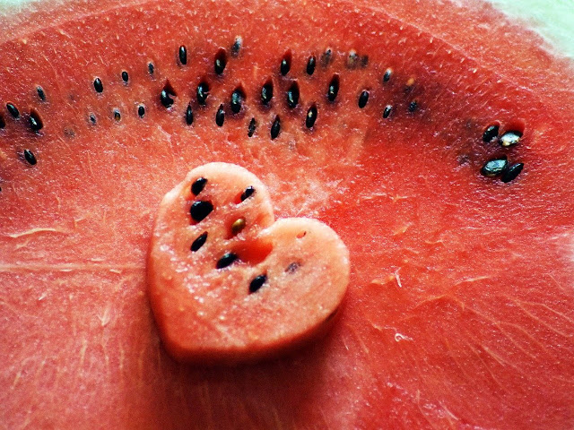 tips menanam biji semangka