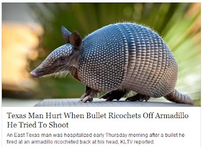 armadillo bullet texan his sends proof texas hospital head believe hard story little find just