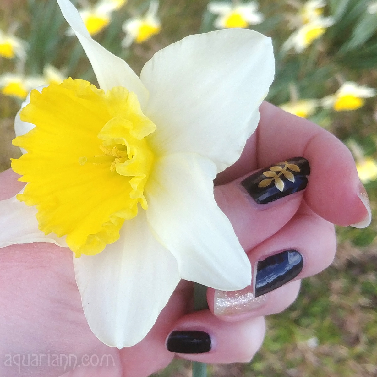 Black and Gold Nails