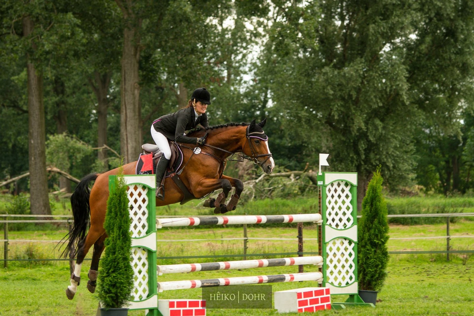 Pferdesport Kreis Kleve