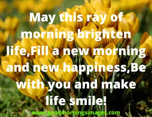 Good Morning Shayri With Images For Girlfriend Good Morning Shayri With Images For Girlfriend