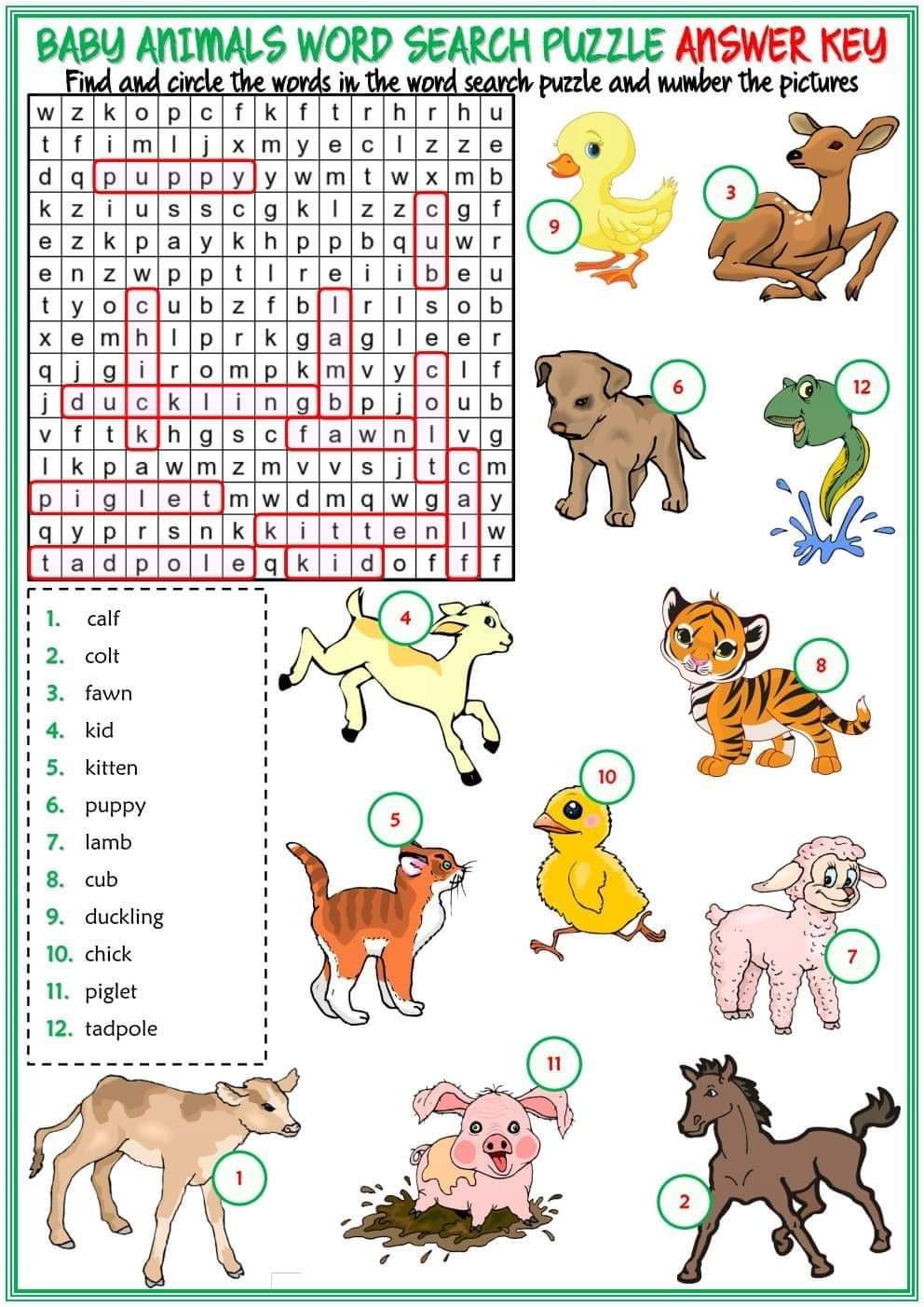 Free PDF [Download] baby animals worksheets for kindergarten, grade1 ...