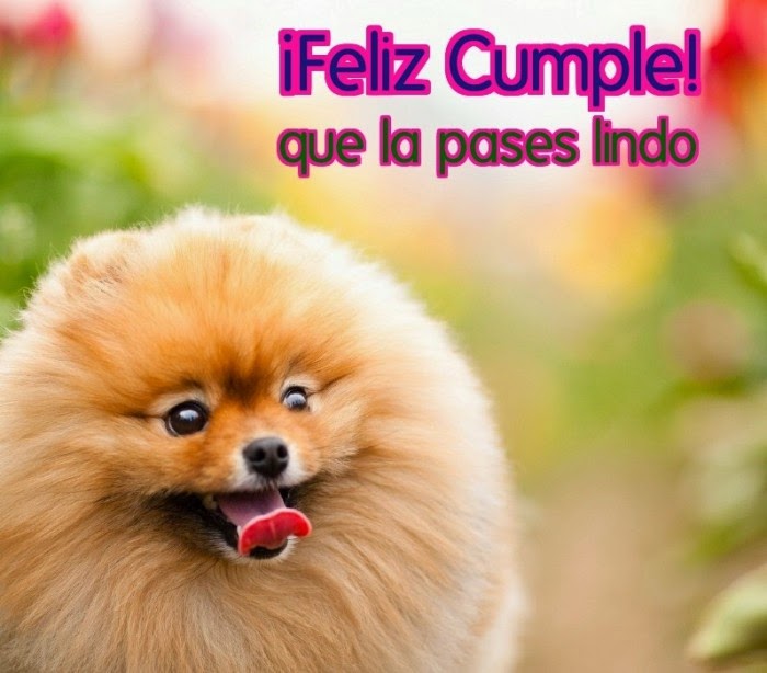Imagenes chistosas y muchas cosas mas Facebook - muchas imagenes chistosas