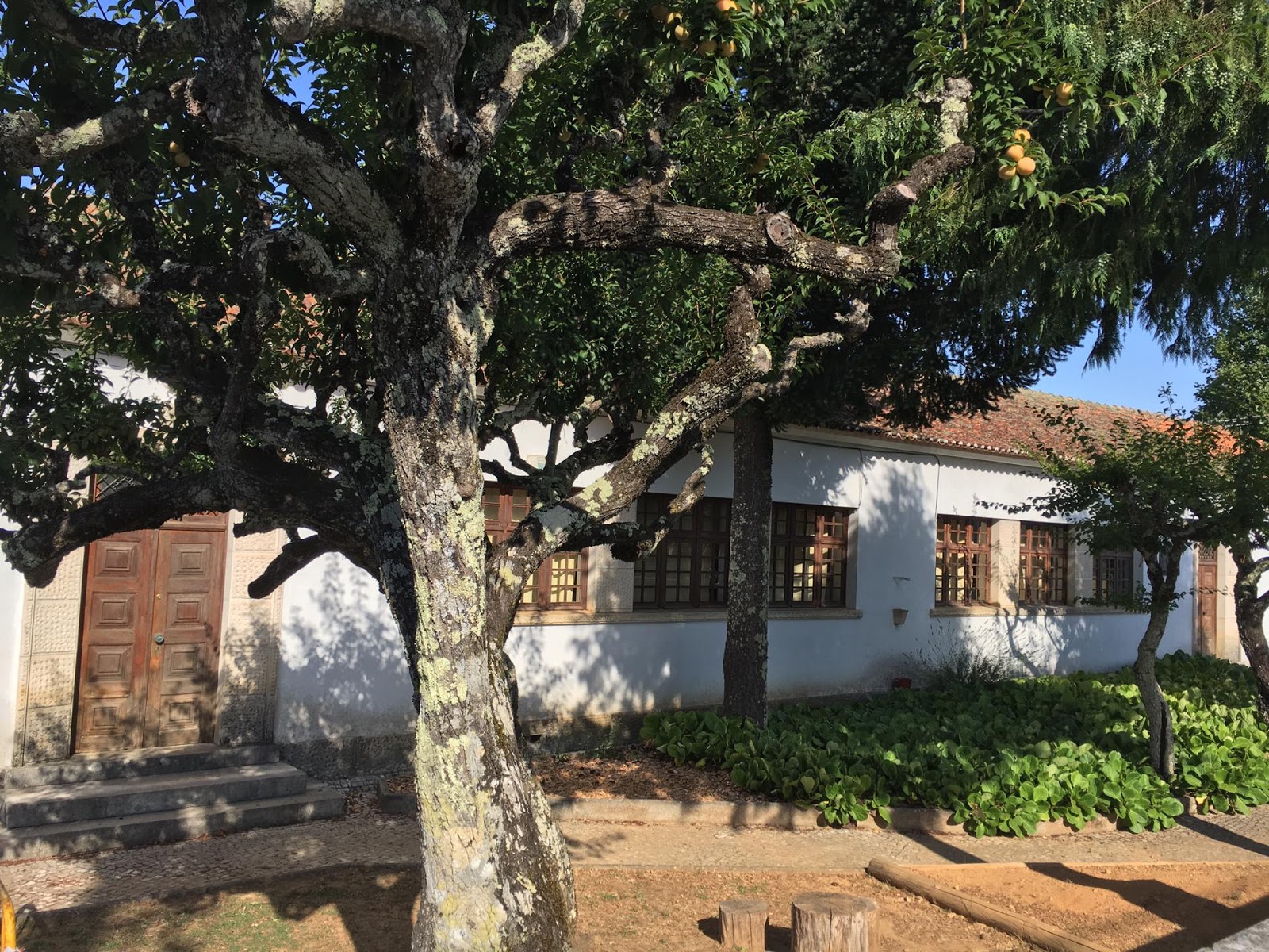 As nossas Escolas Primárias Escola Primária de Vila Facaia
