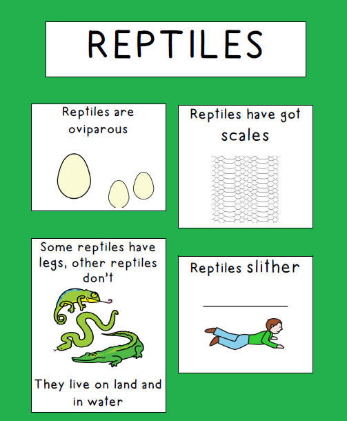 Learning together REPTILES