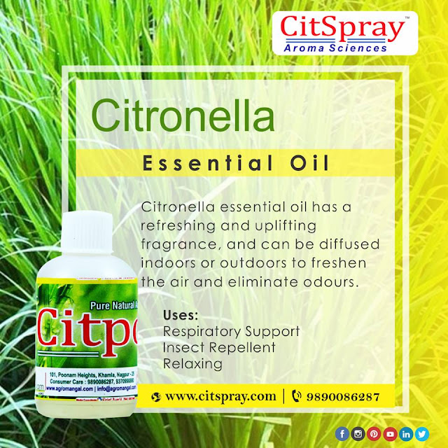 Citronella Essential Oil Benefits