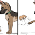 After Winning The Hearts Of Over 1,4M Followers, Pixie And Brutus Are Here With 6 More Adorable Comics
