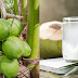 8 Major Health Benefits Of Drinking Coconut Water According To Science.
