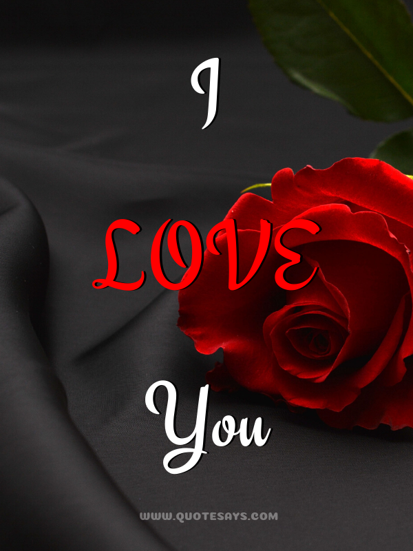 100 gorgeous good night images for love friends family quotesays gorgeous good night images for love