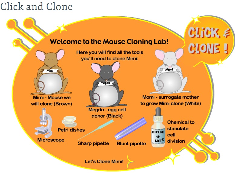 CREATORS GALAXY Click and Clone...!!