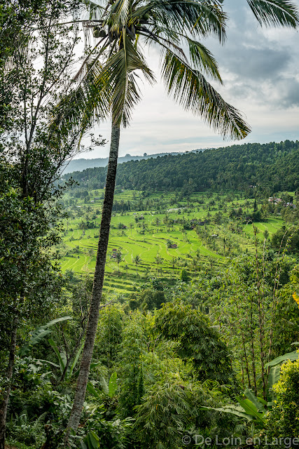 Région de Munduk - Bali