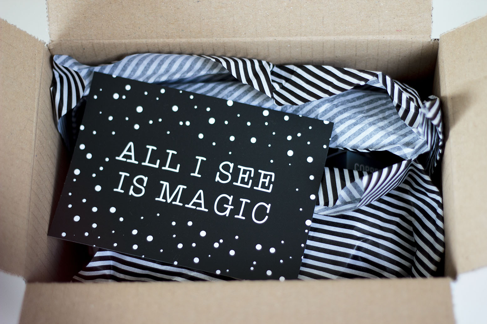 Brainy Days Brainy Days