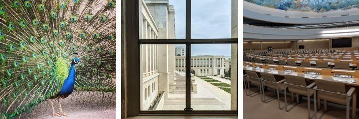 Bellemelle Der Schweizer Blog Uber Kunst Mode Und Das