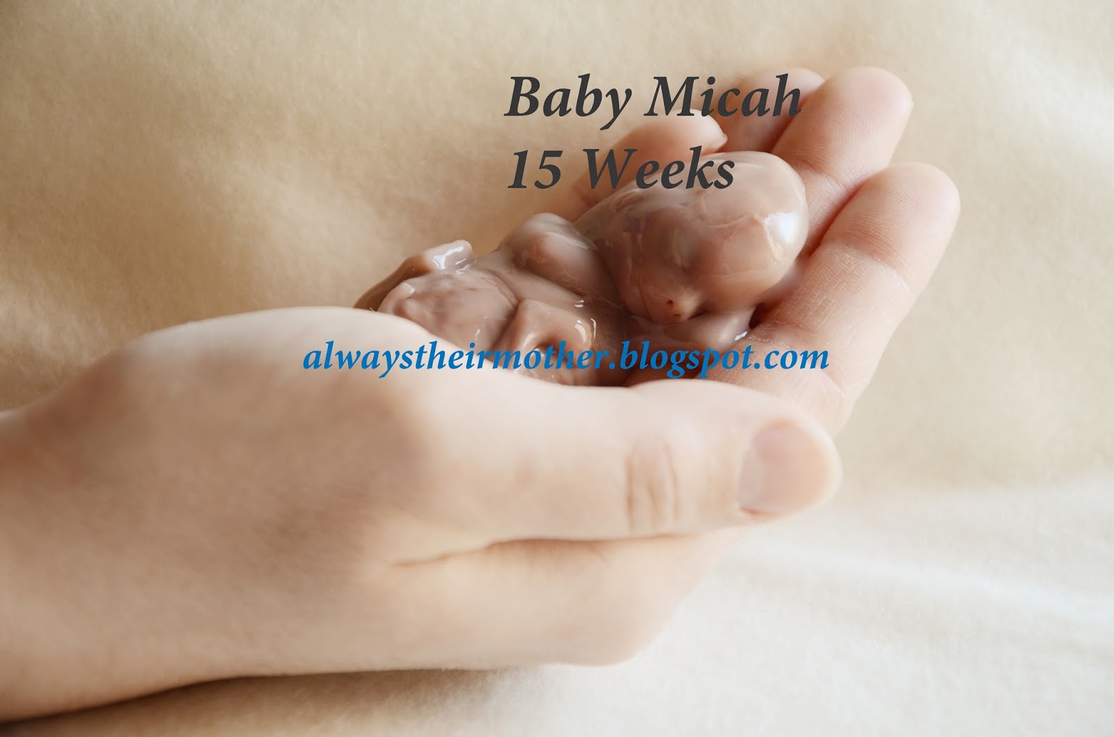 Always Their Mother Micah s Photos Story
