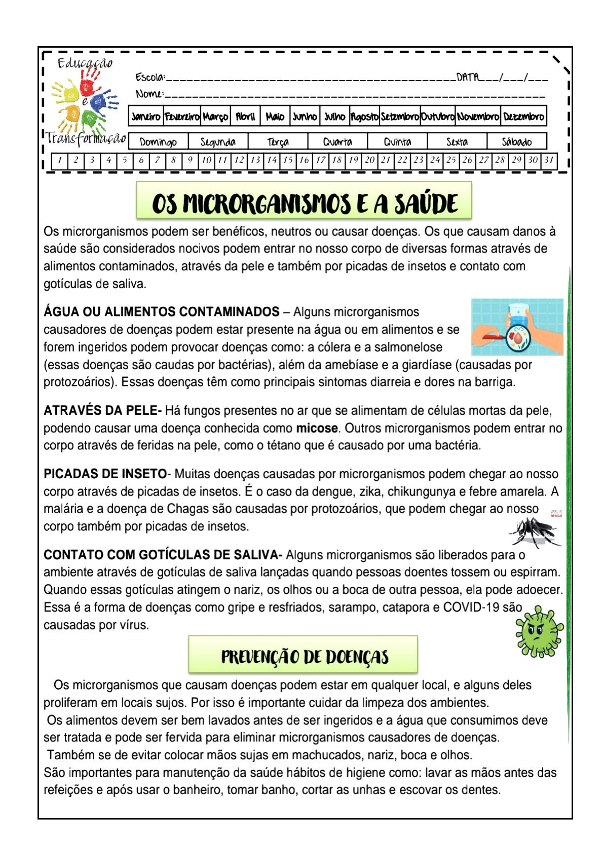 👍Ciências e a saúde Atividade de ciências para trabalhar os e a
