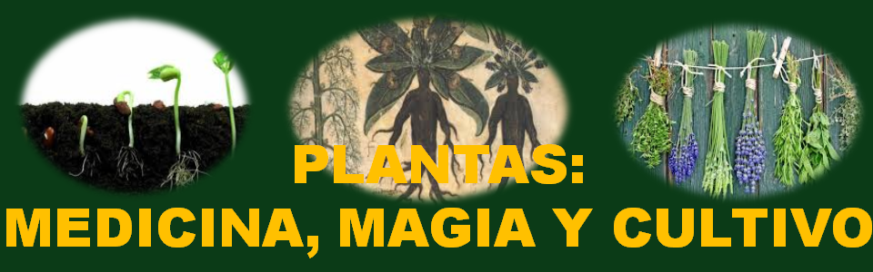 PLANTAS MÁGICAS