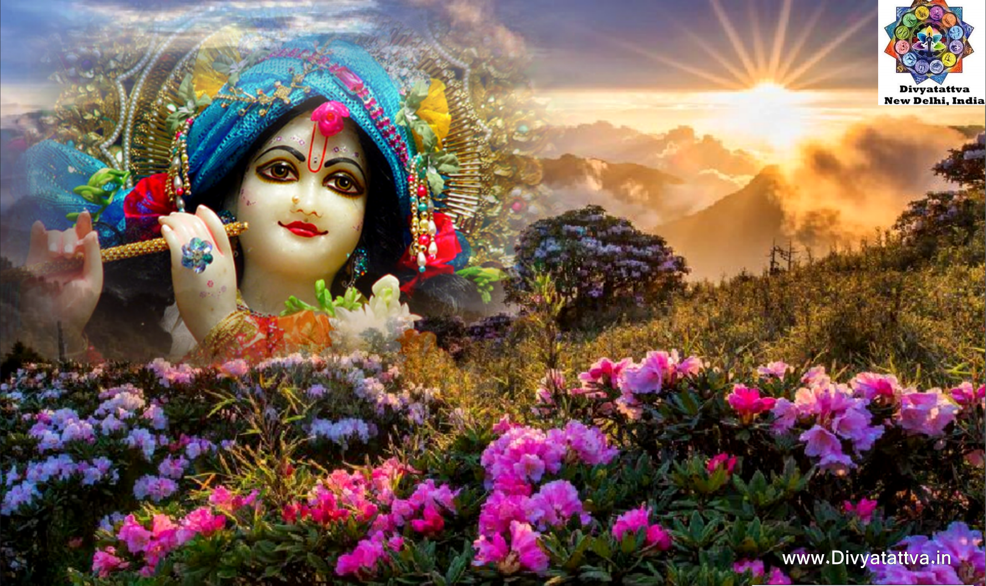 Supreme Being & Hindu Deity Lord Krishna HD Wallpaper For Janmashtami