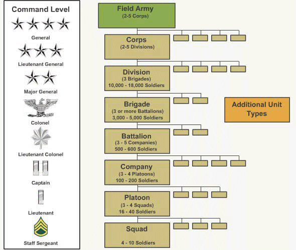 Ever wonder what the US Army unit structure looked like? : US Army Unit ...