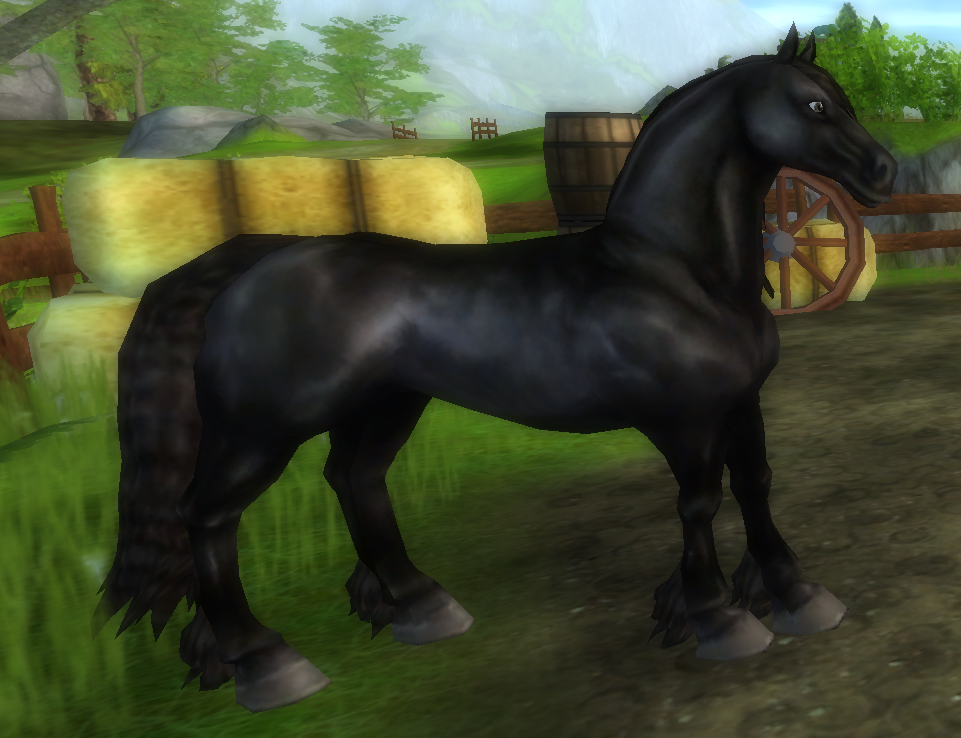 Star Stable Daily Horse Breeds