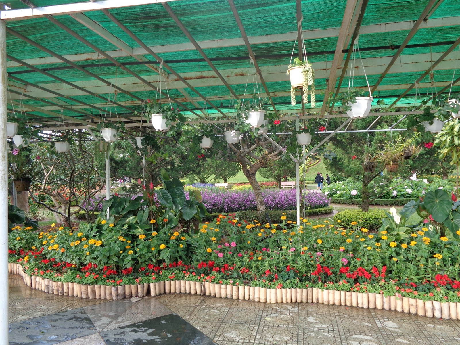 DSC00046.JPG