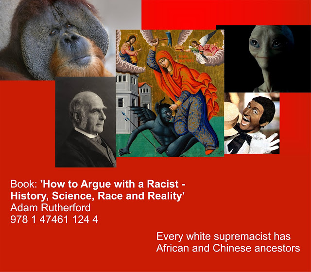https://www.theguardian.com/books/2020/jan/30/how-to-argue-with-a-racist-adam-rutherford-review