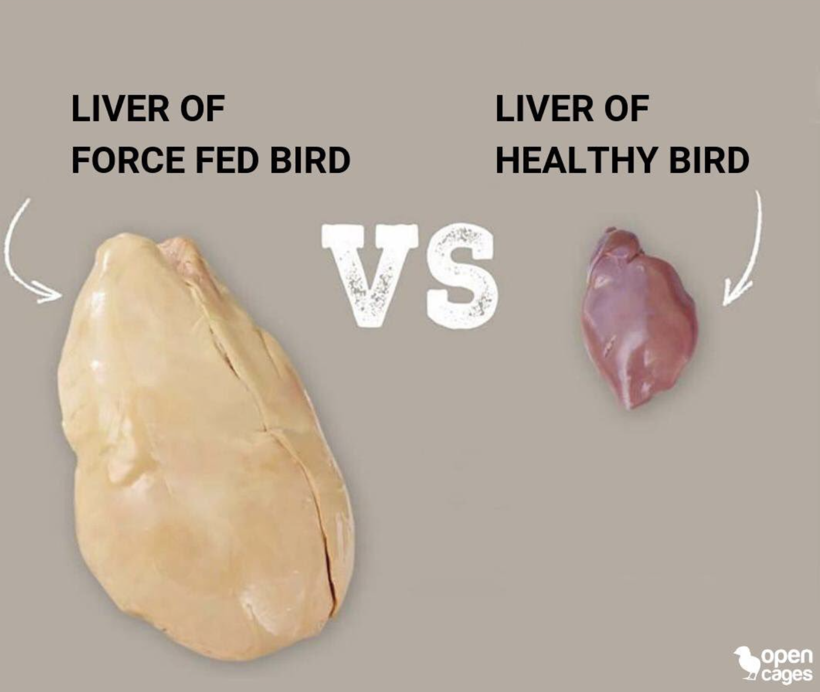 SanDiegoVille Is Foie Gras Once Again Permitted On Menus In California