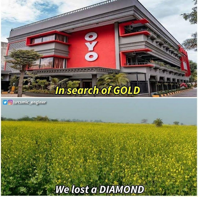In Search of Gold, We Lost Diamond MeMes Hindi