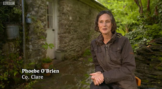 Phoebe O'Brien