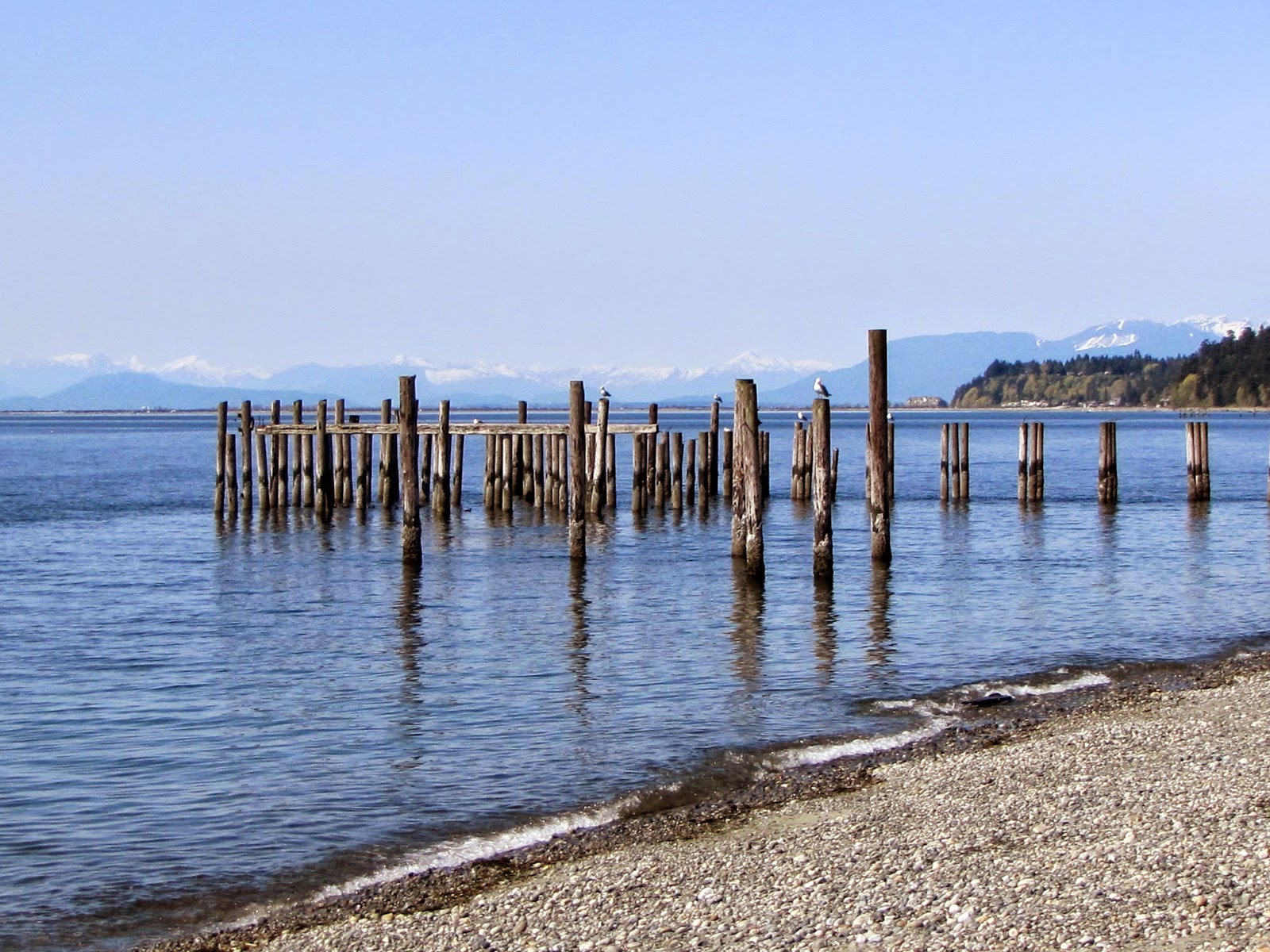 My Front Porch Point Roberts, Washington