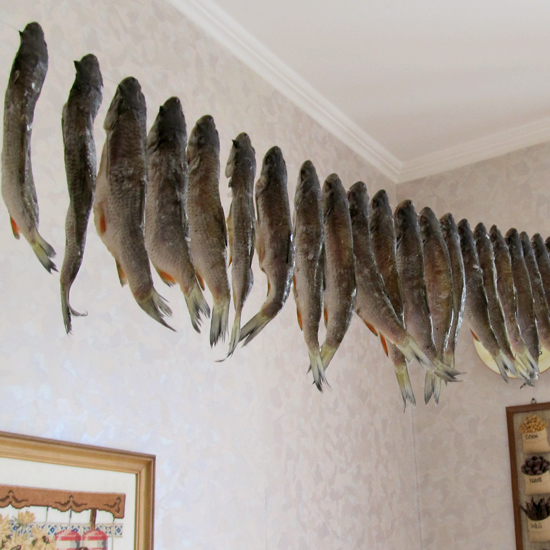 рыбалка, fish