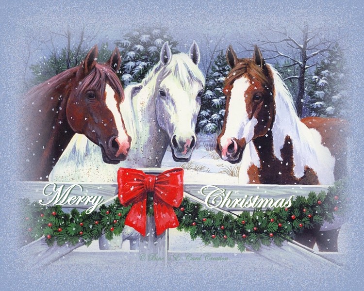 Pferde Unsere Stolzen Freunde Frohe Weihnachten