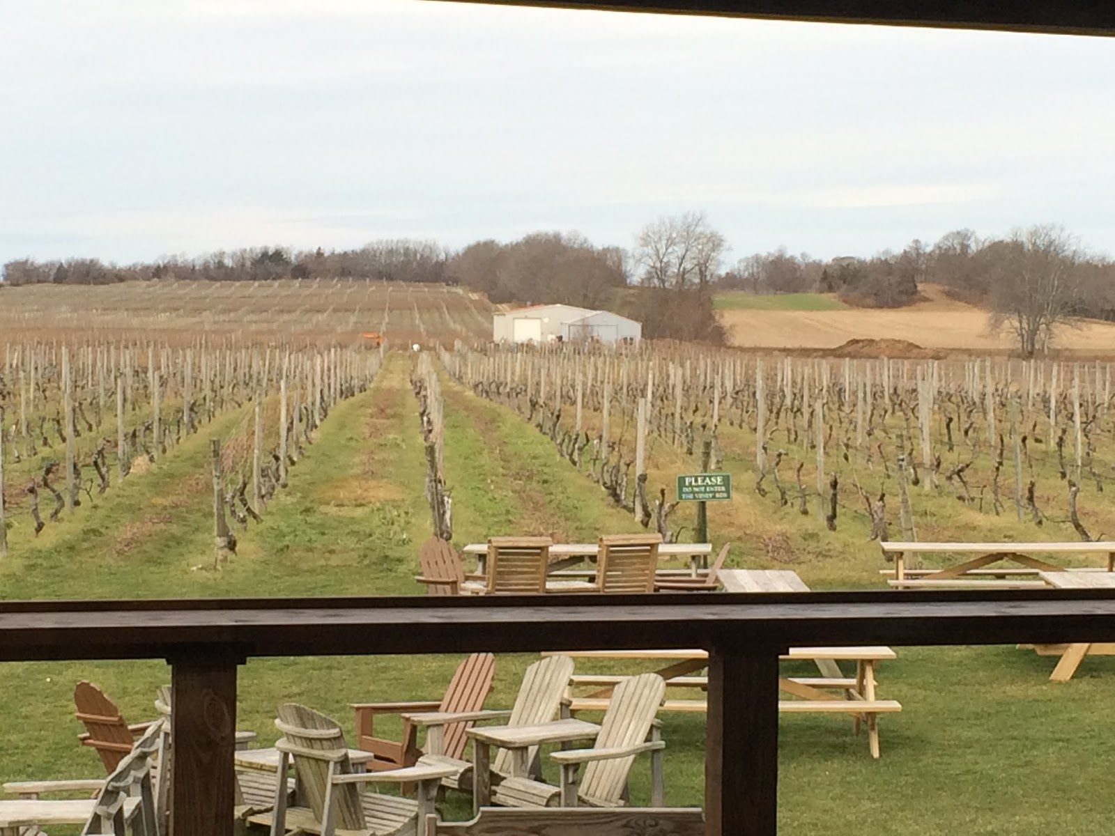 East Coast Wineries Palmer Vineyards The Best LineUp of White Wines