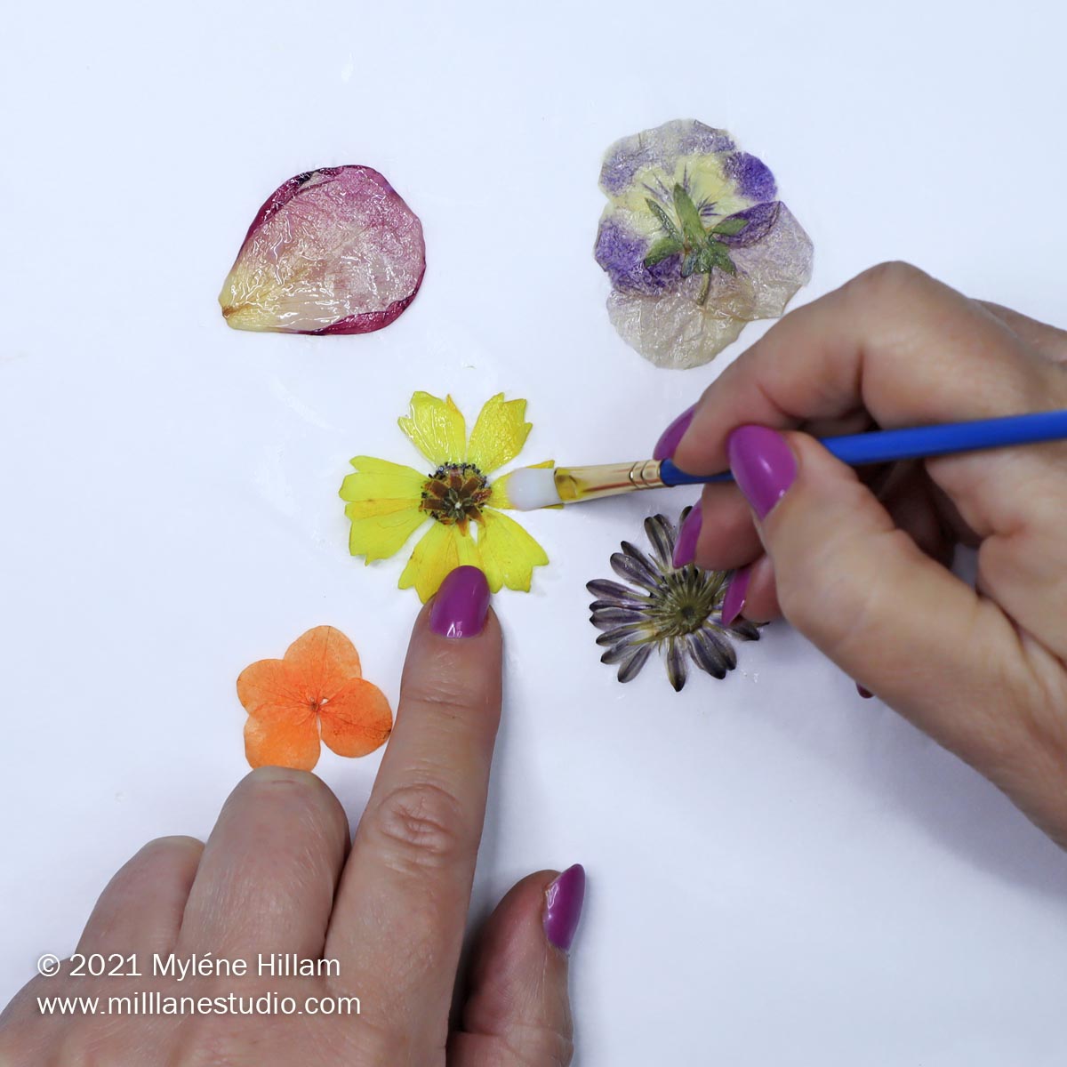How to Seal Flowers for Resin