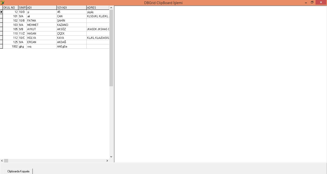 Delphi 7 Veri Tabanından ClipBoarda Veri Kopyalama witalyus