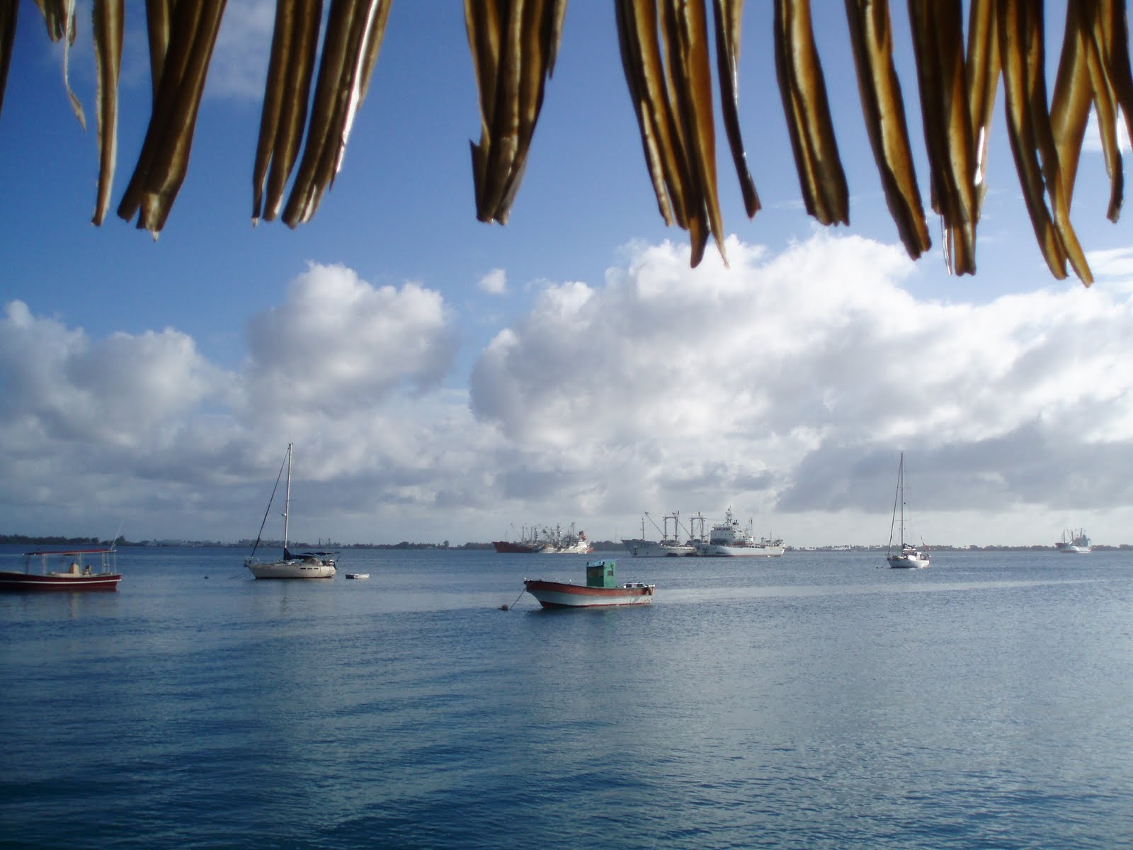 DAY IN COURT Views from MLSC islands